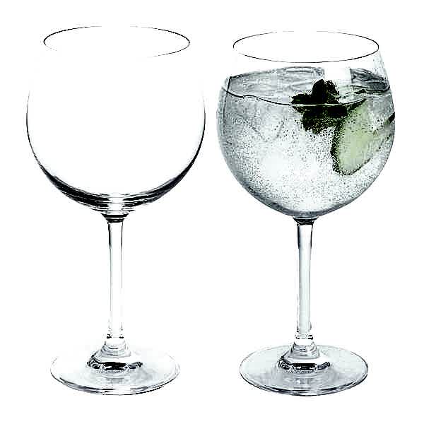 Dartington Gin Glasses